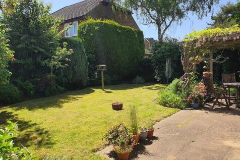 Rear garden.jpg
