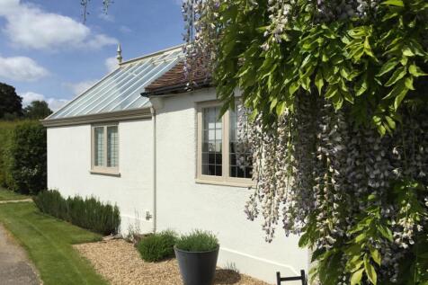 Mature wisteria