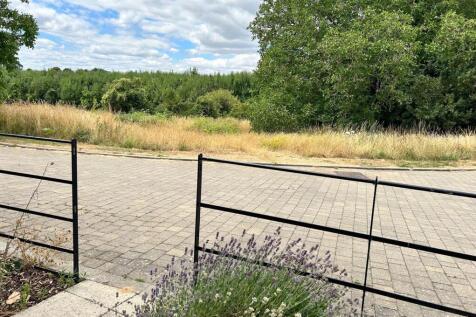 View from front door