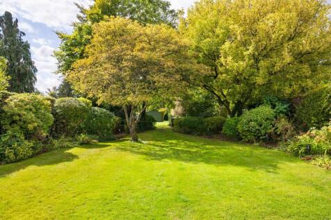 Mature trees and shrubs