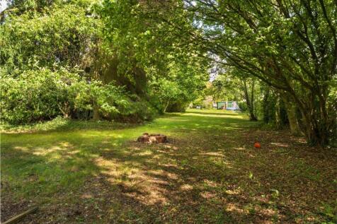 Wooded glade at the rear