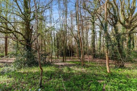 Woodland