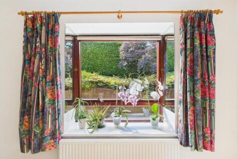 Bay Window