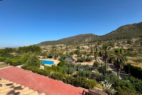 Property Image 39