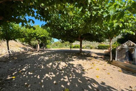 Property Image 62