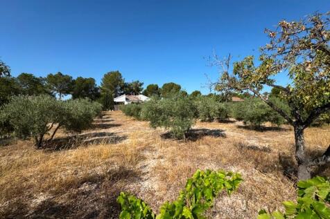Property Image 38