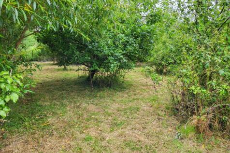 Orchard