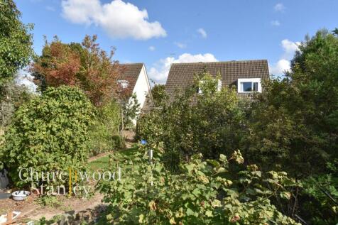 Garden towards the home