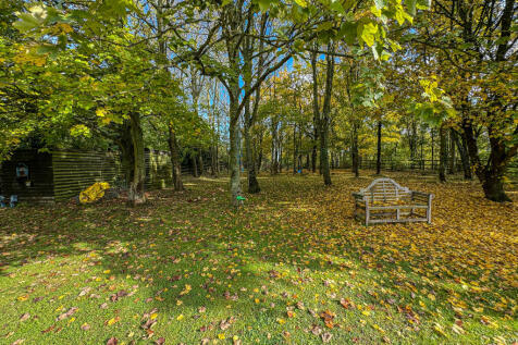 Woodland