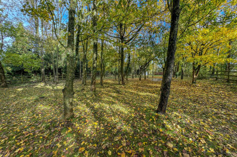 Woodland (2)