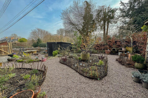Garden (2)