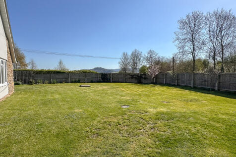 Garden (5)