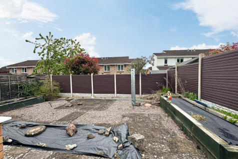 Garden (2)