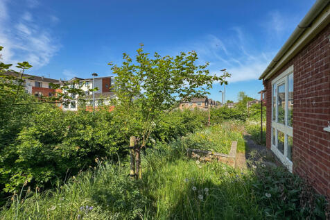 Garden (2)