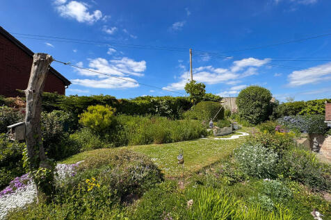 Garden (4)