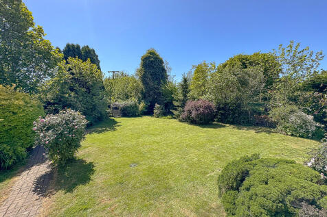 Garden (2)