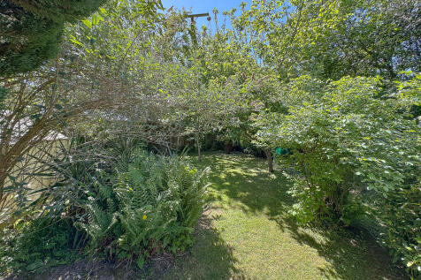 Garden (3)