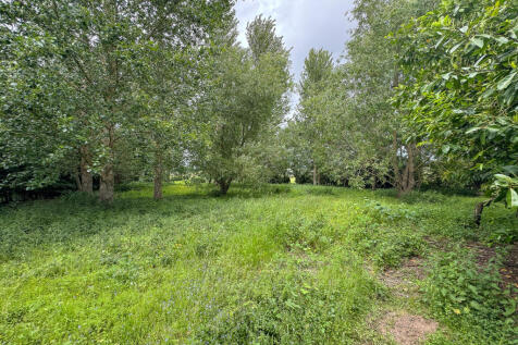 Garden (3)