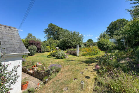 Garden (2)