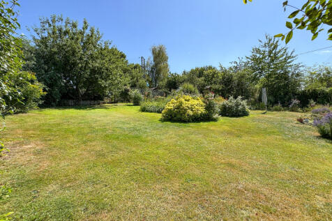 Garden (3)