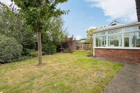 Garden (2)