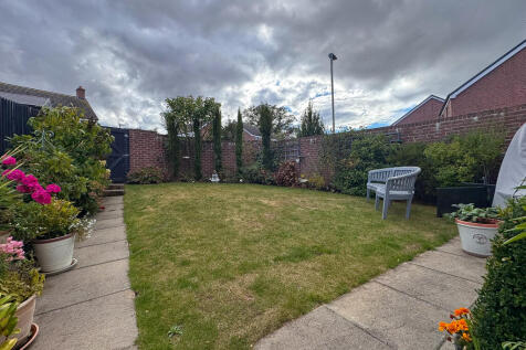 Garden (2)