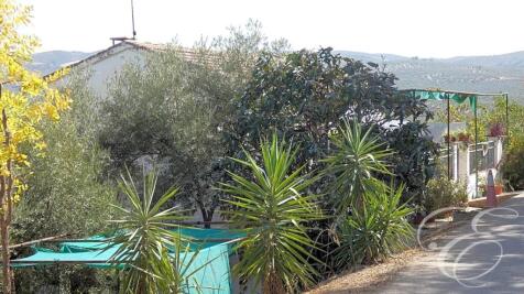 Property Image 17