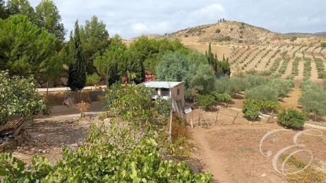 Property Image 7