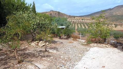 Property Image 11