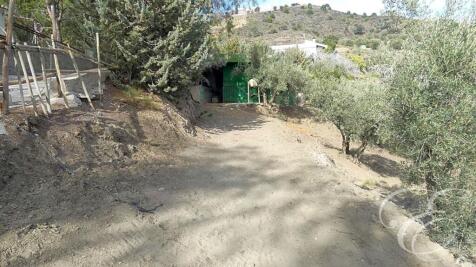 Property Image 19