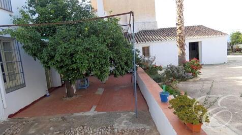 Property Image 16