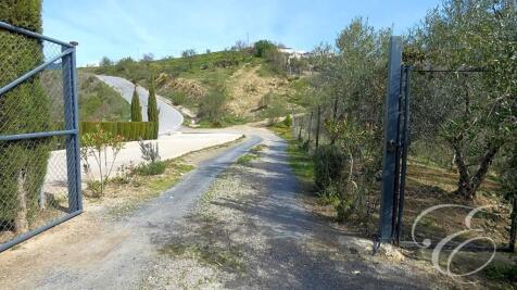 Property Image 21