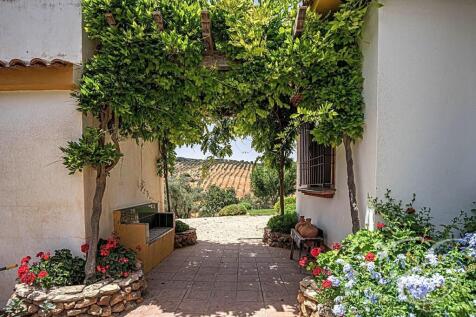 Property Image 29