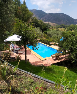Property Image 17