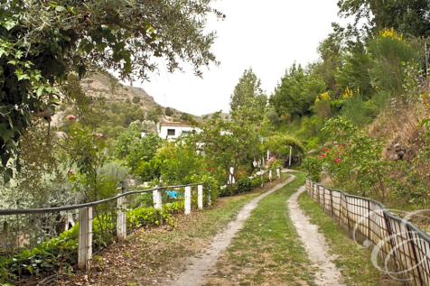 Property Image 18
