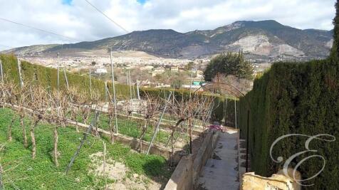 Property Image 5