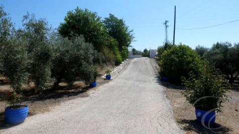 Property Image 35