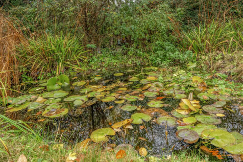 1381096-3-69147b1...