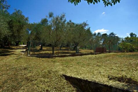 Fenced Garden