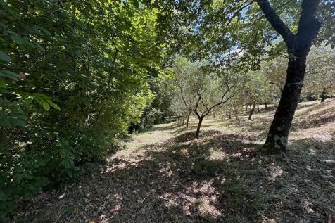 Property Image 45