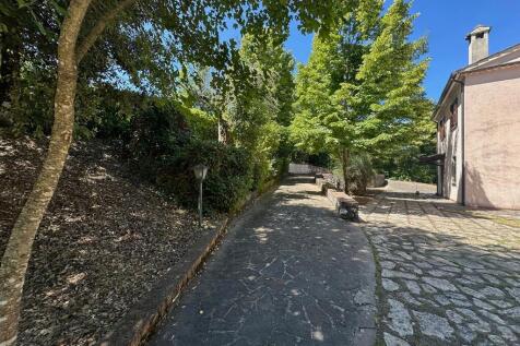 Property Image 54