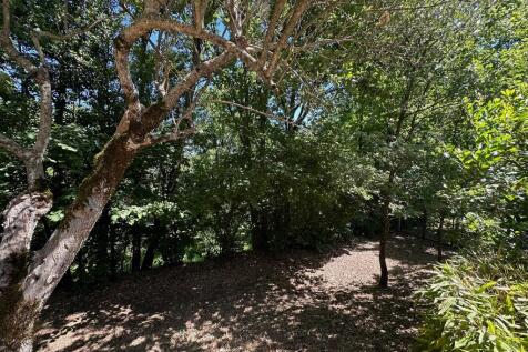 Property Image 58