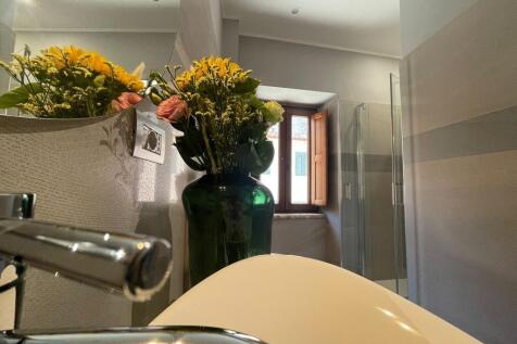 Property Image 58