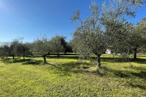 Property Image 113