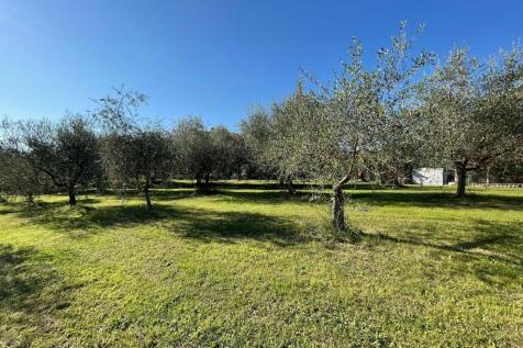 Property Image 101