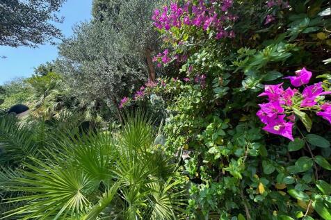 Property Image 57