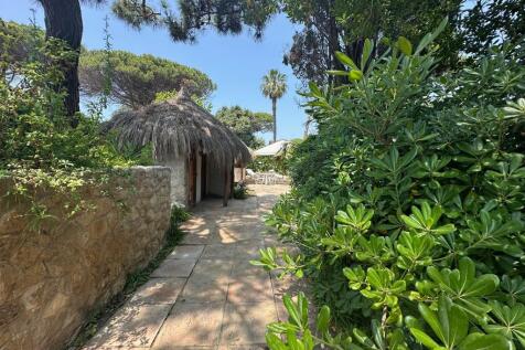 Property Image 62