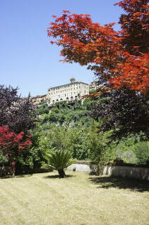 Arpino from garden