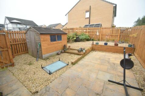 Back garden