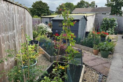 Side Garden